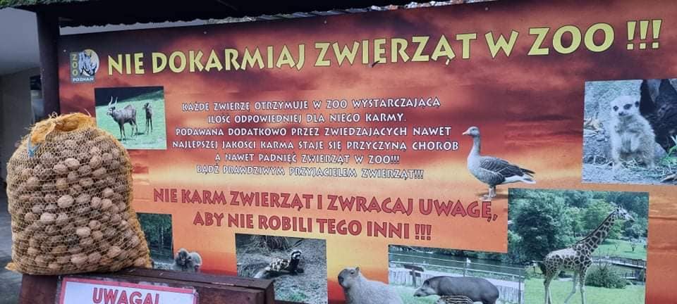 worek orzechów na tle tablicy informacyjnej ZOO