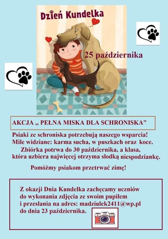 Pełna miska dla schroniska Plakat informujący o zbiórce dla schroniska dla zwierząt.